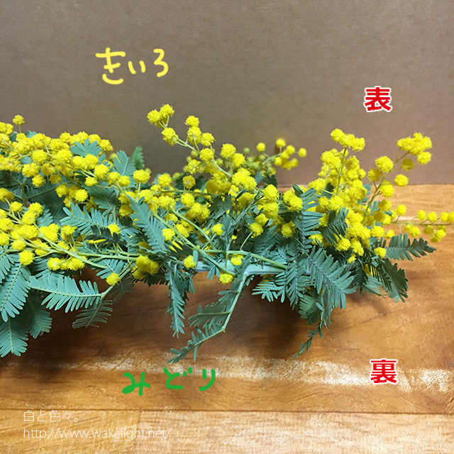 f:id:waka2light:20170303160547j:plain